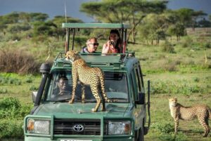 Tanzania Safari Tours