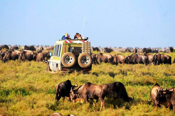 Best Tanzania Safari