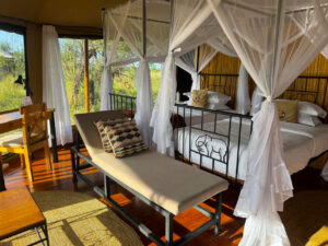 Tanzania Honeymoon Safari